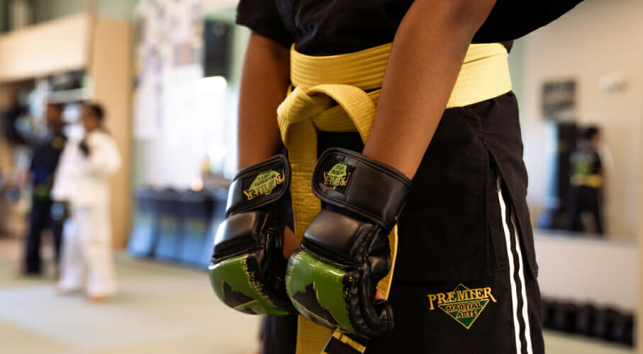 Premier Martial Arts Murrysville, PA Karate Classes & More