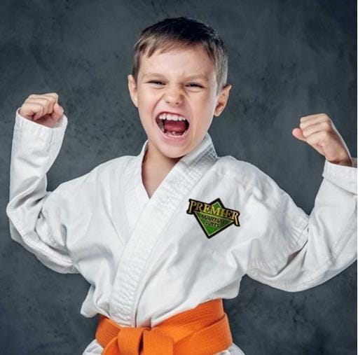 Developing Character in Children Through Martial Arts