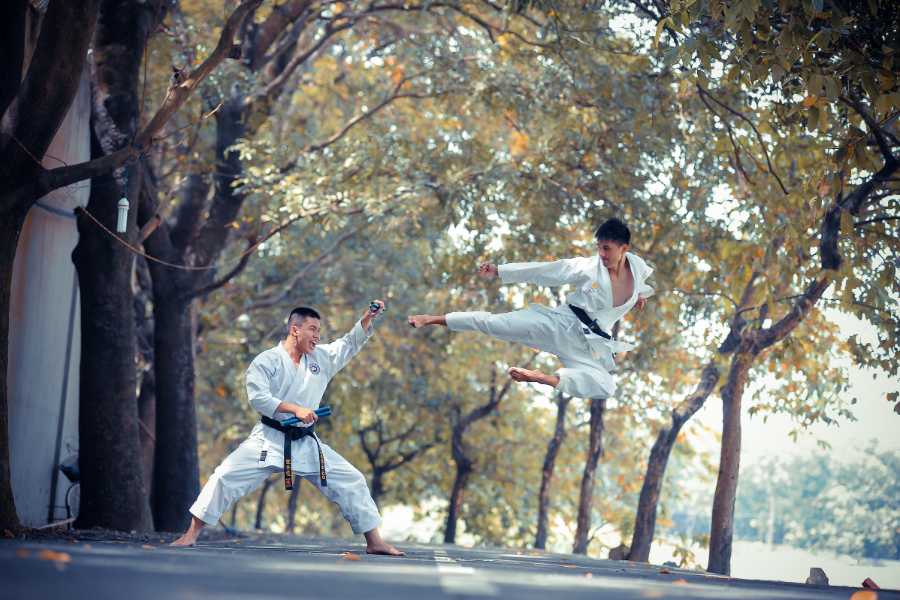 Chinese Martial Arts in Action