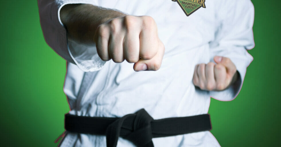 Journey to a Black Belt Premier Martial Arts Belt System