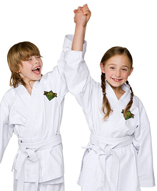 Cooperation and Competition in Martial Arts for Kids