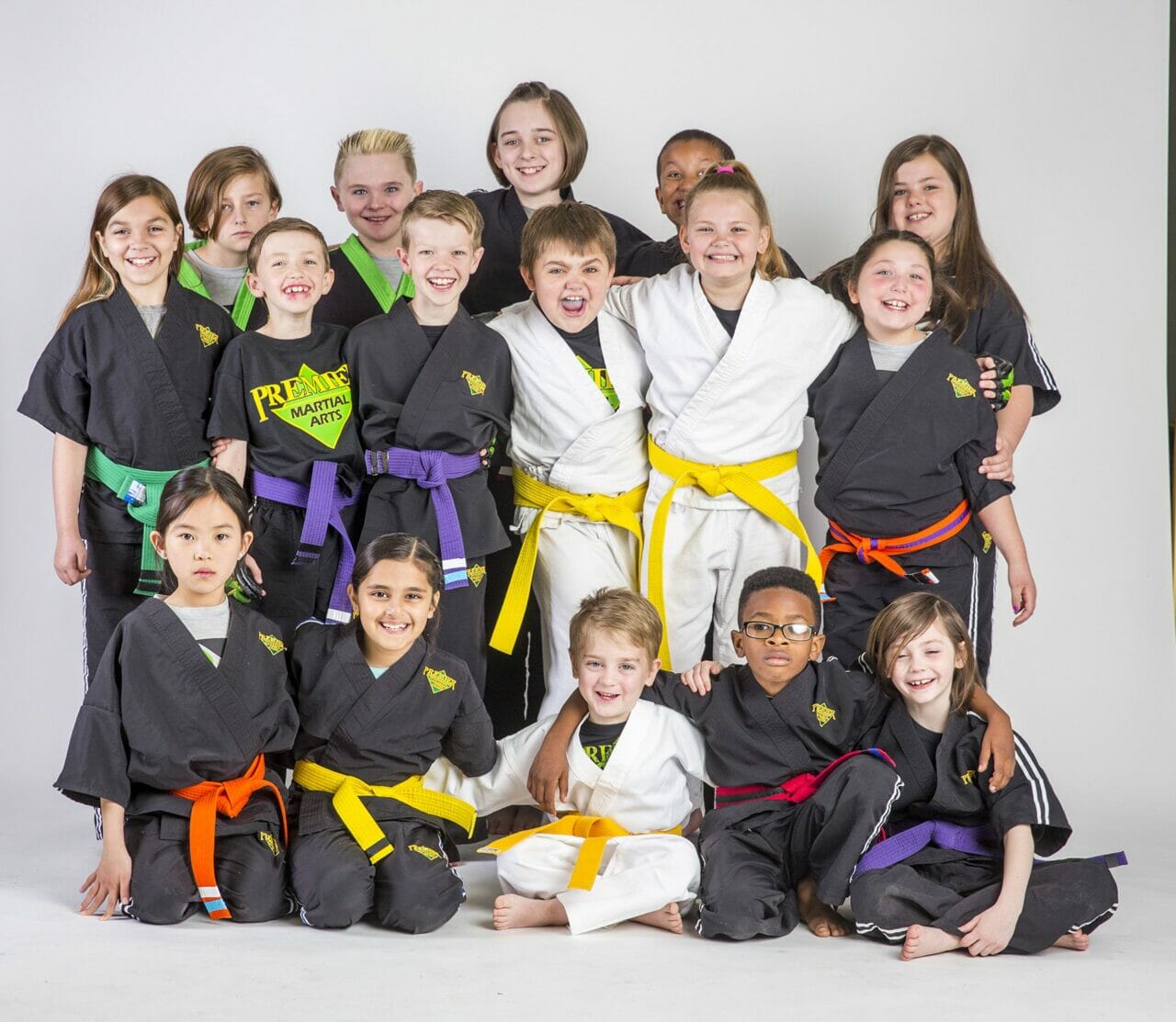 Reach Your Goals in Martial Arts with Premier Martial Arts