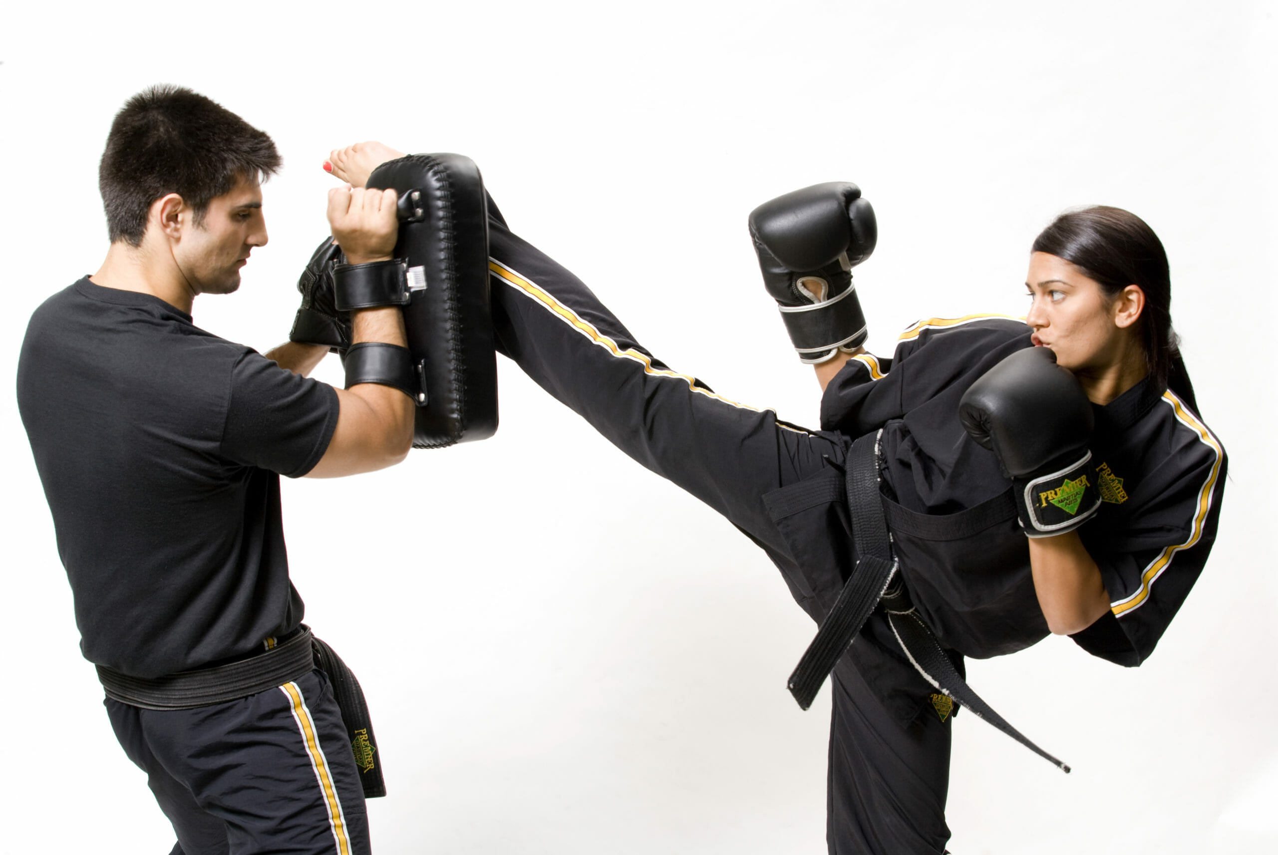Sef Defense Trainng at Premier Martial Arts