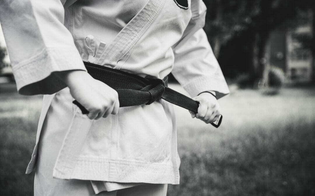 Do You Have What It Takes to Earn a Black Belt?