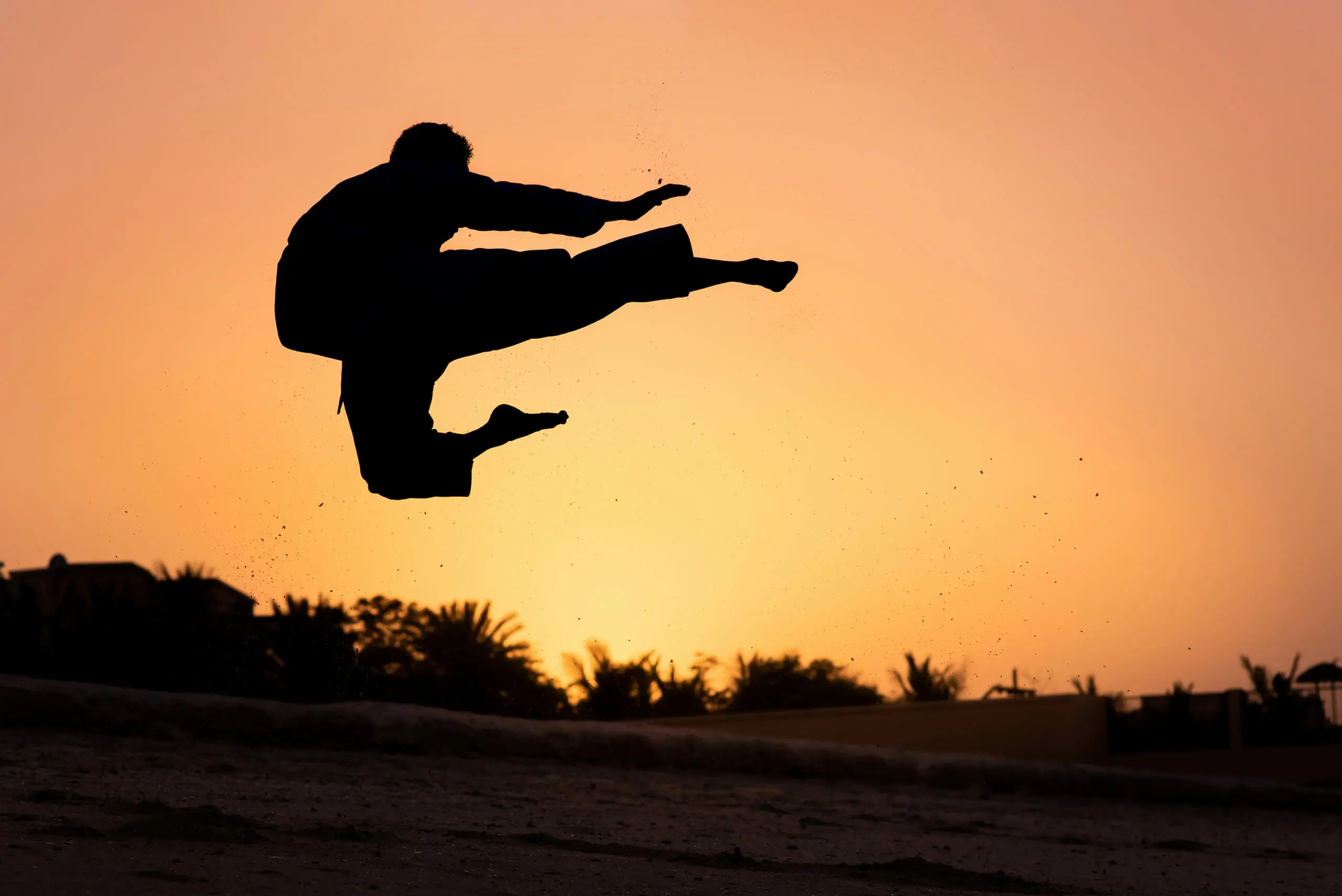 Man performing flying karate leg jump kick at sunset silhouette