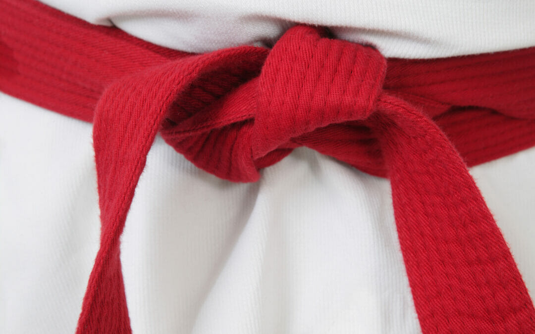JOURNEY TO A BLACK BELT: PART FOUR – ADVANCED STUDENTS (BROWN AND RED BELTS)
