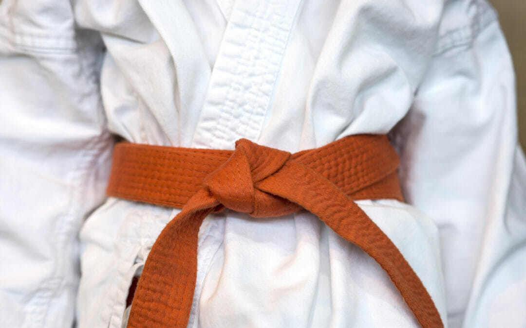 JOURNEY TO A BLACK BELT: PART TWO – BEGINNER PHASE (WHITE, YELLOW, AND ORANGE BELTS)