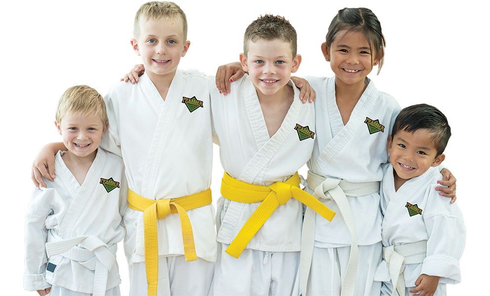 How Martial Arts Can Help Children Socialize and Gain Social Skills