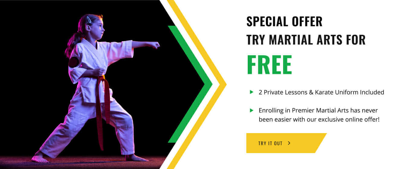 Premier Martial Arts North Knoxville, TN Karate Classes & More